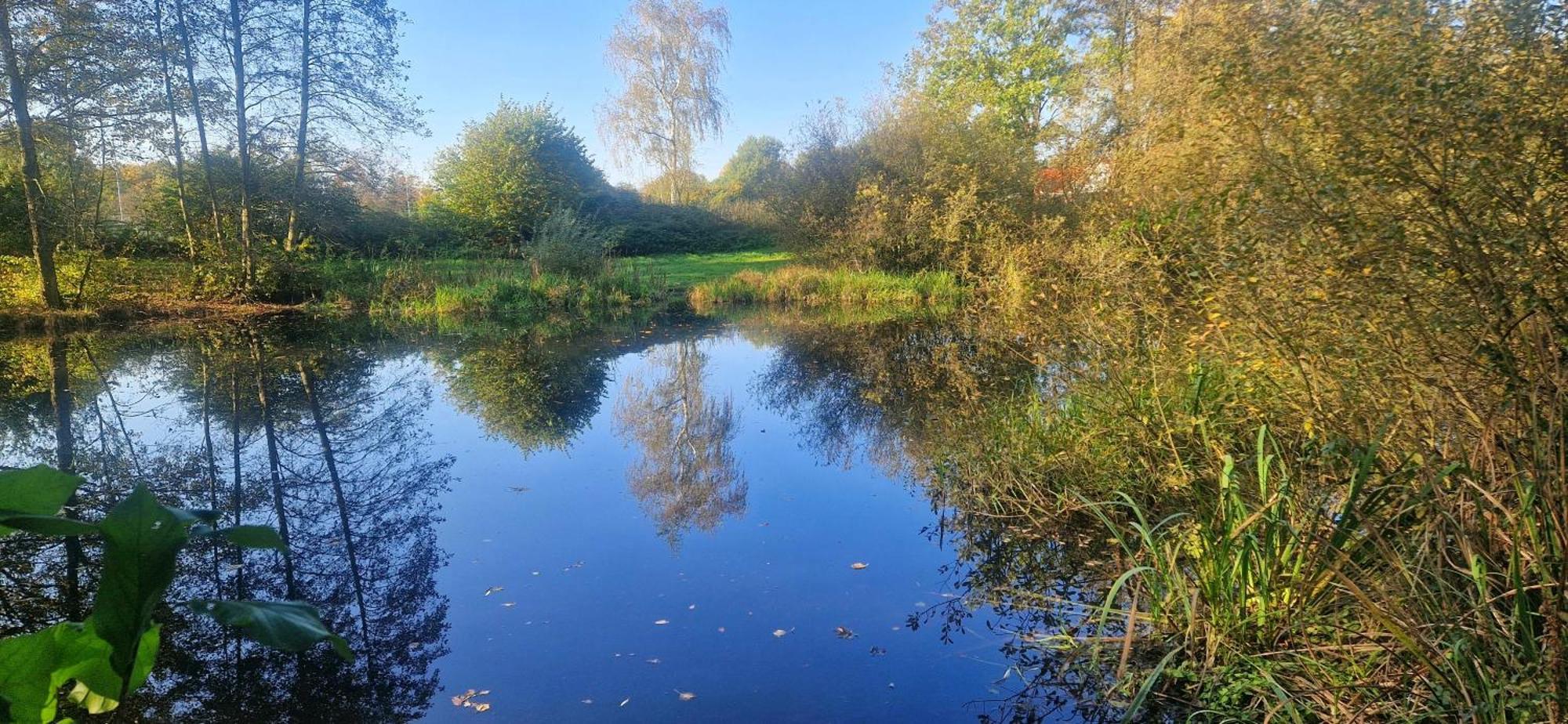 Ferienwohnung Landlicht Mit Terrasse In Ruhiger Lage Sulingen Buitenkant foto